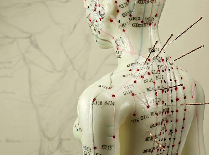 Thumbnail Core Trad-Chinese-Medicine